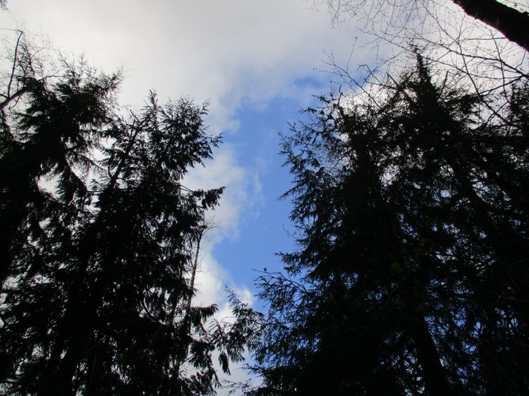 144.JPG