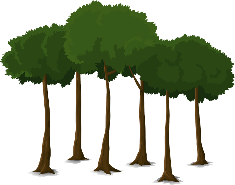 tree-576835_1280.png