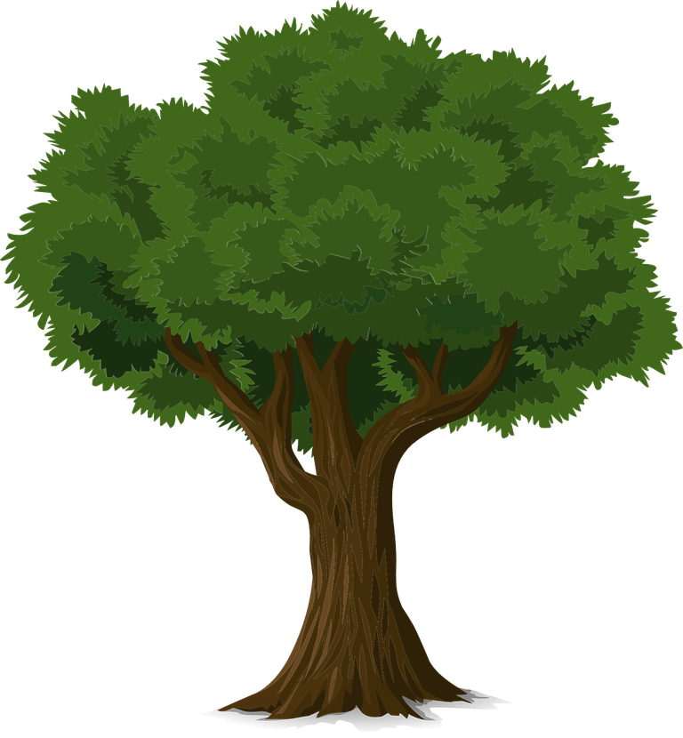 tree-576847_1280.png