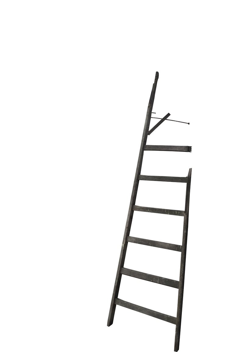ladder-851086_1280.jpg