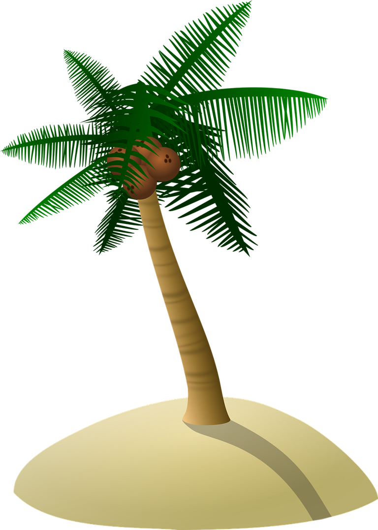 coconut-tree-1892861_1280.png