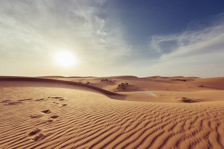 arid-1866541_1280.jpg