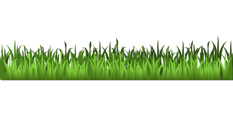 grass-159804_1280.png