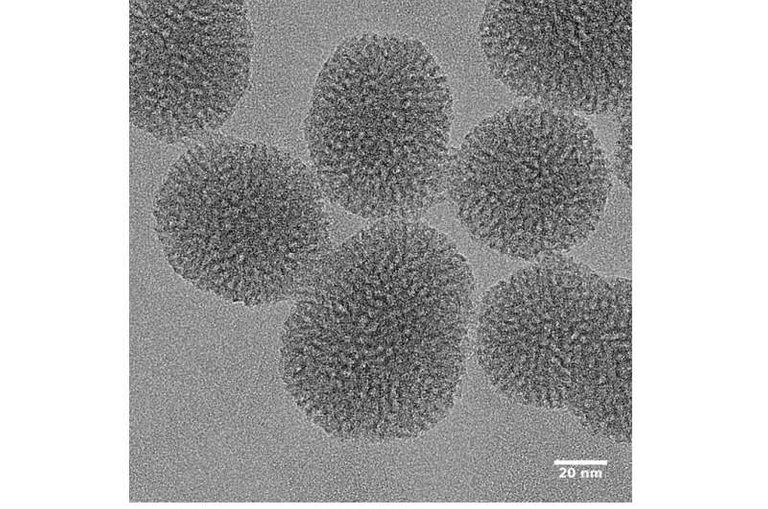 a-new-nanoparticle-to.jpg