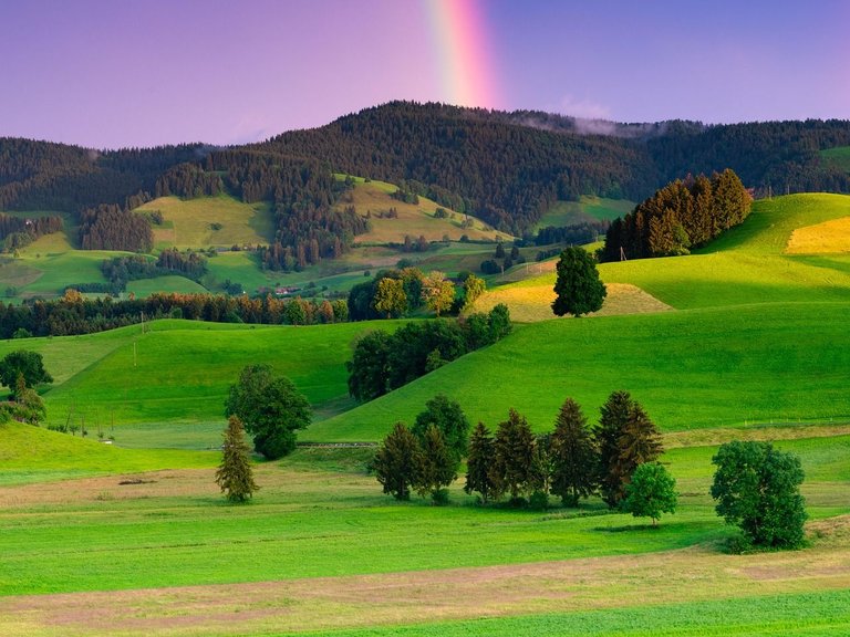 rainbow-5324153_1280.jpg