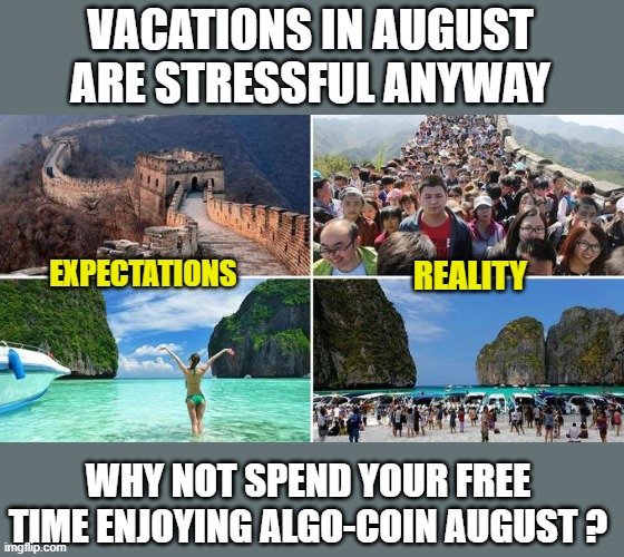 algocoin august.jpg