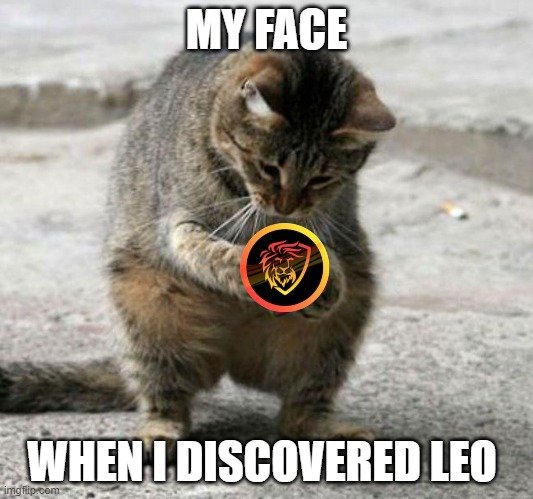 discovering leo.jpg