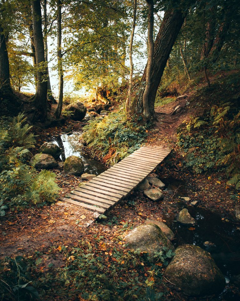 _MG_9130.JPG