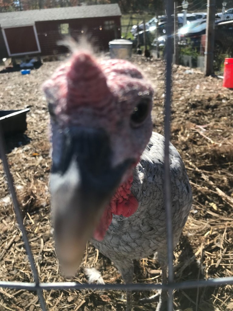 IMG_5754.jpeg