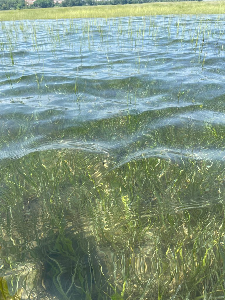 IMG_3890.jpg