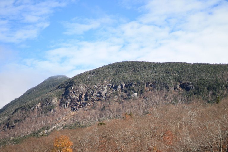 IMG_7409.JPG