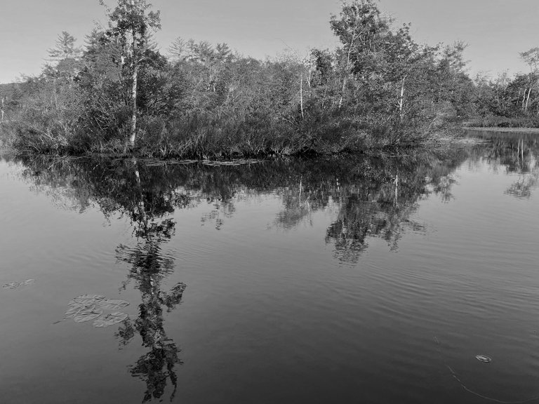 IMG_1449 edit.jpg