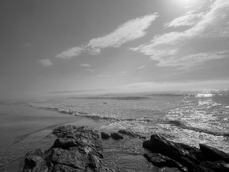 IMG_3812.jpg