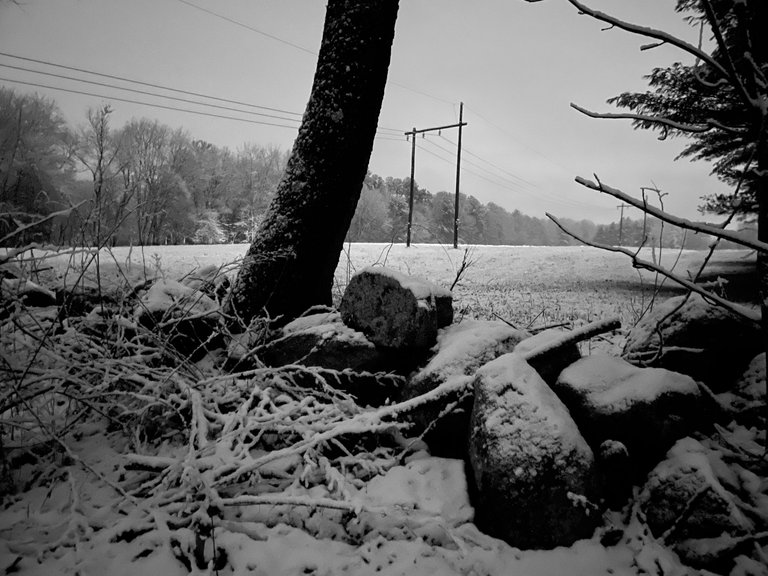 IMG_0858 edit.jpeg