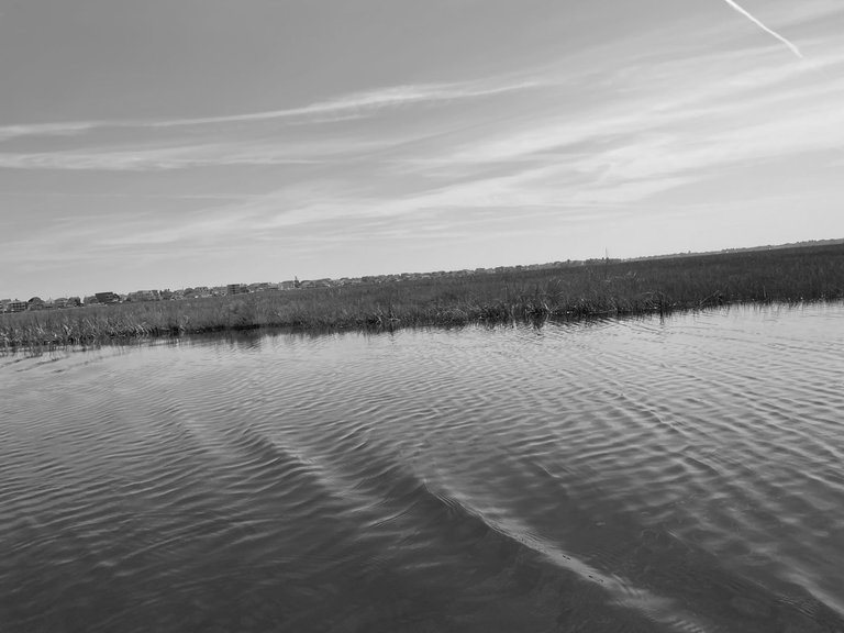 IMG_3895.jpg
