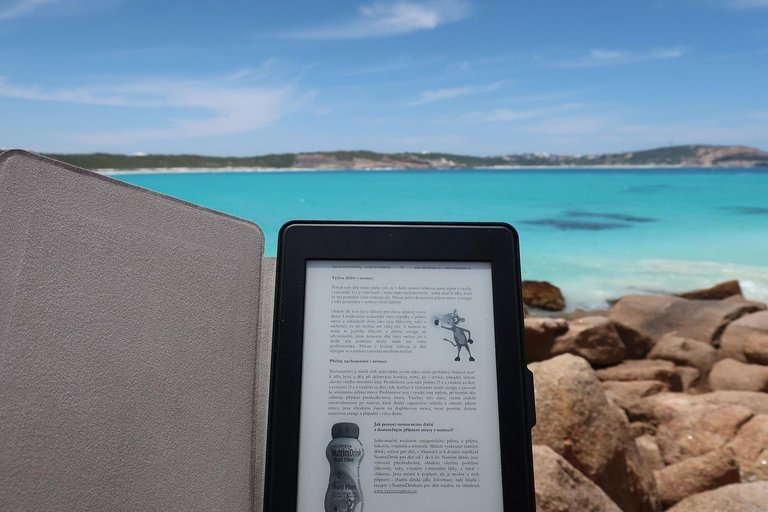 kindle-4283403_1280.jpg