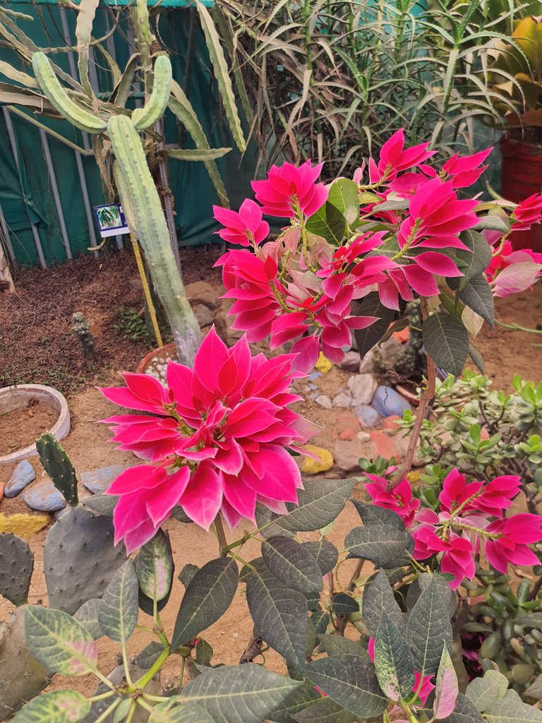 20230311_110636.jpg