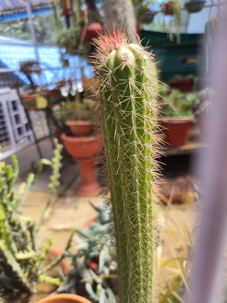 20230311_110342.jpg