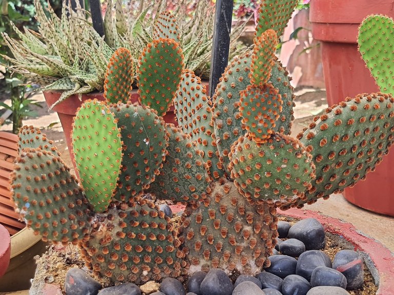 20230311_110419.jpg