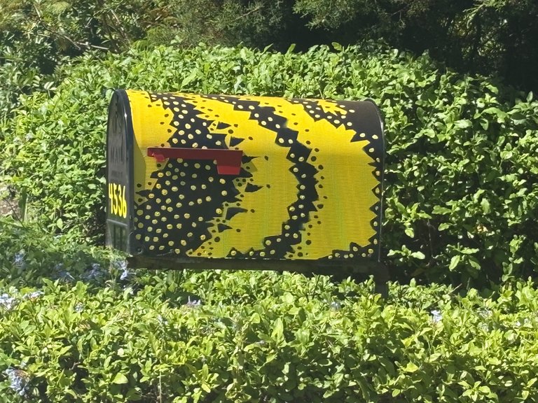 IMG_0948.jpeg
