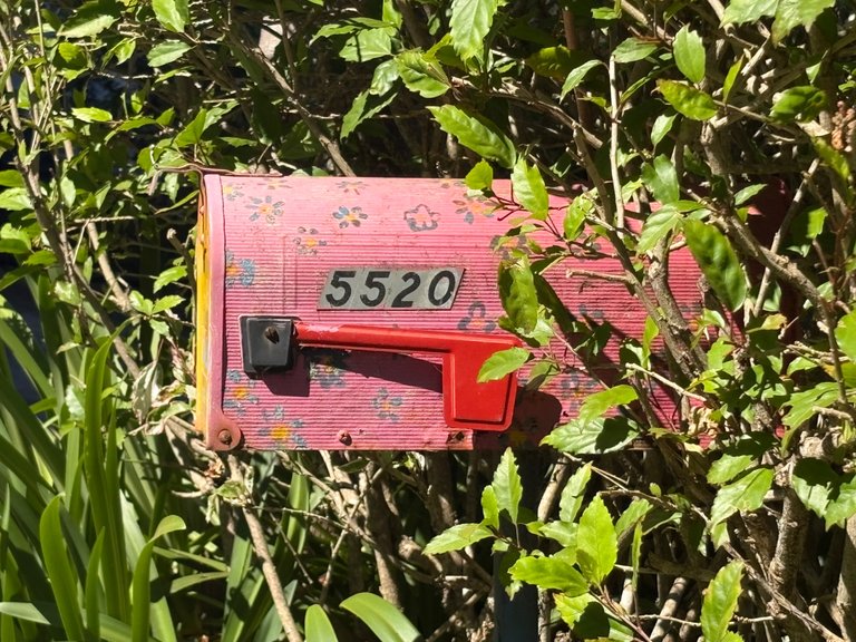 IMG_0957.jpeg