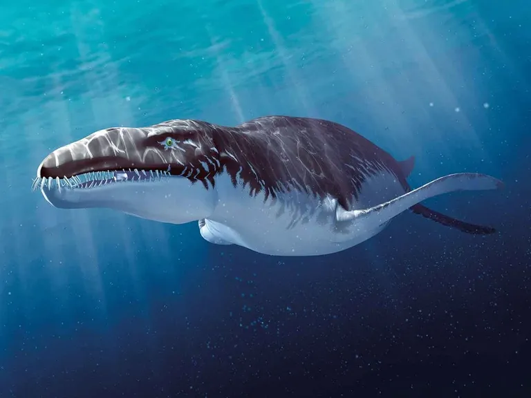 liopleurodon.webp