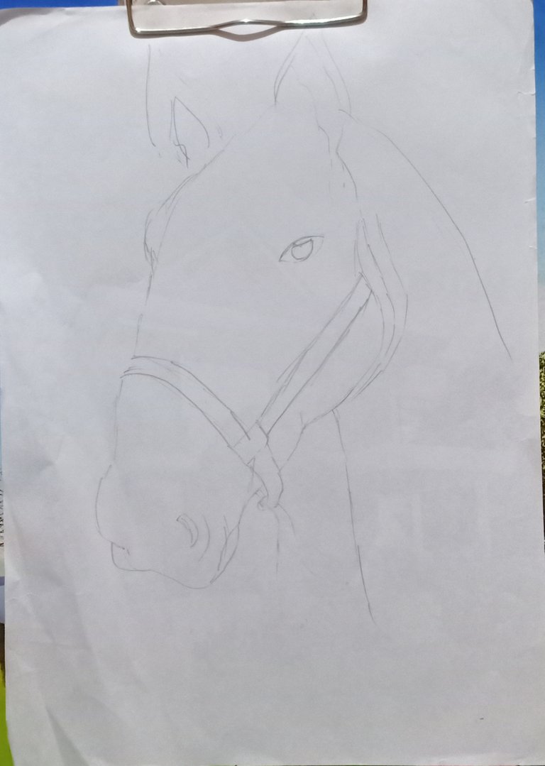Horse 1.jpg