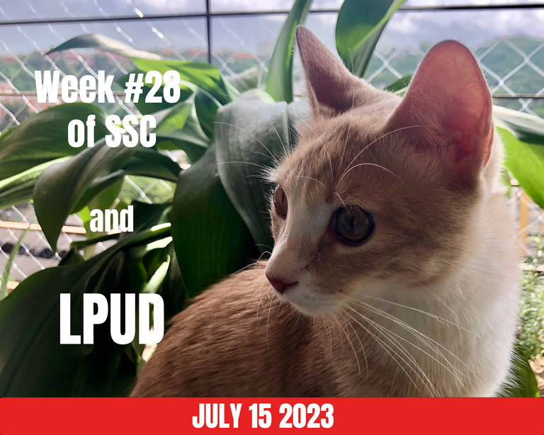 LPUD_July2023.png