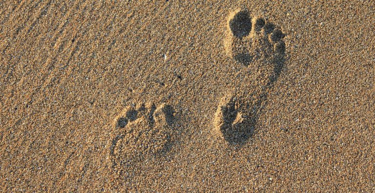 footprint-g0c6670b4d_1920.jpg