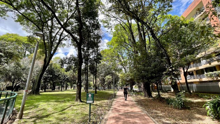 Chronicle of a Sunday morning in Bogotá