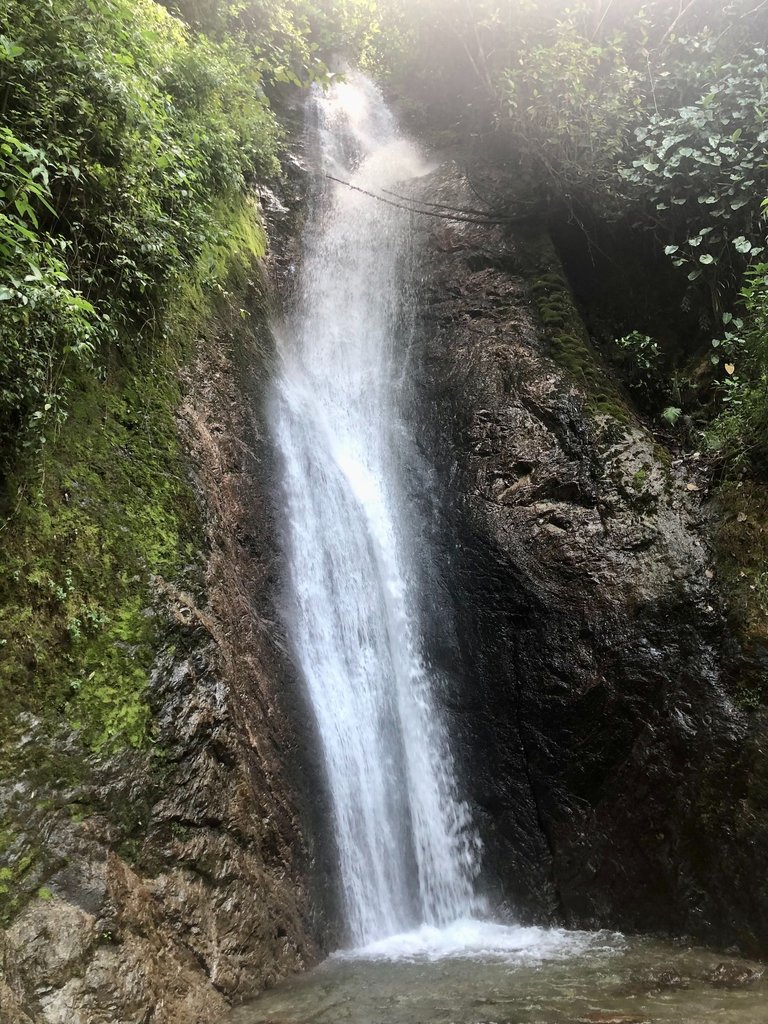 ElVeloDeLaNovia_Abr25_10.jpg