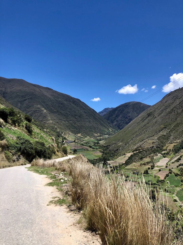 CaminoGavidia5_Apr25.jpg