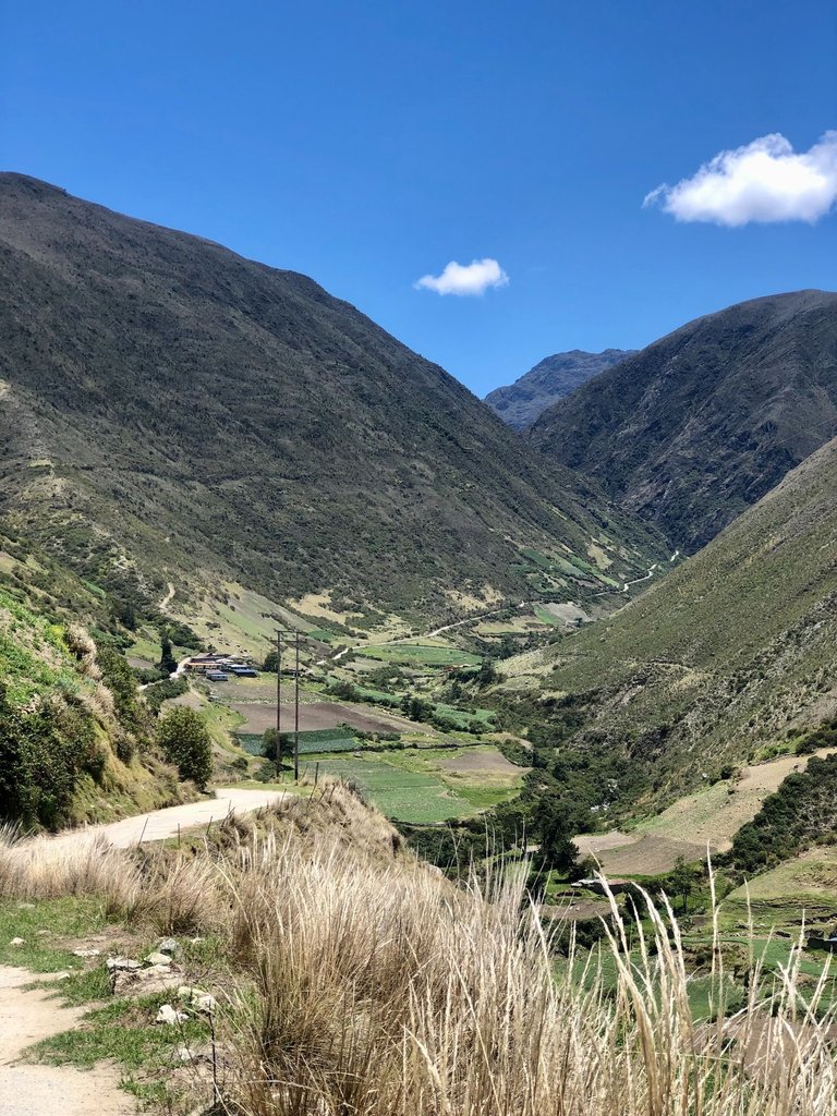 CaminoGavidia6_Apr25.jpg