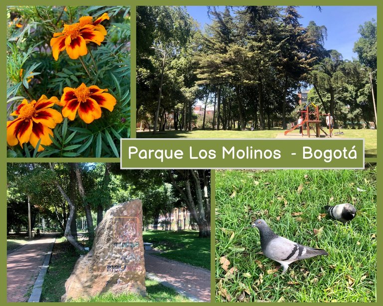 ParqueLosMolinos_12012026.jpg