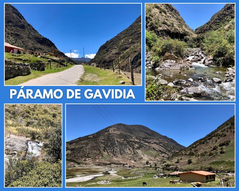 Stroll in the Páramo de Gavidia mountains in Mérida - Venezuela