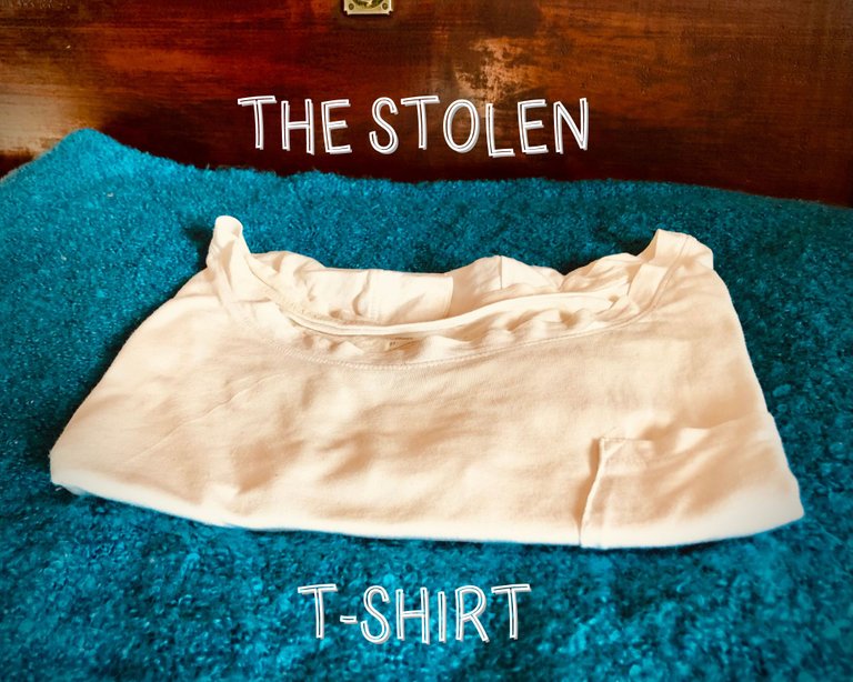 TheStolenTSHIRT.png