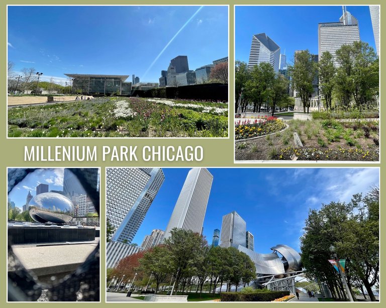 MilleniumPark_Chicago.jpg