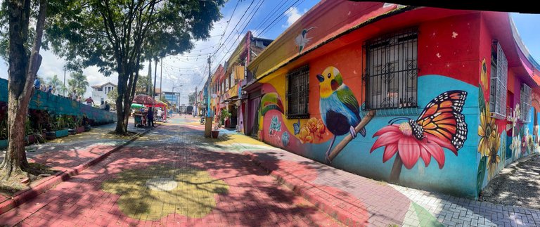 Pereira_Agosto2025_16.jpg