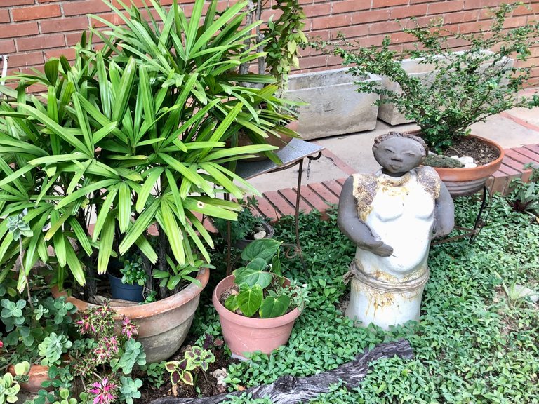 JardinSRoman3.jpg