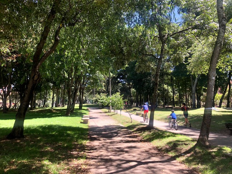 ParqueLosMolinos_9_12012026.jpg