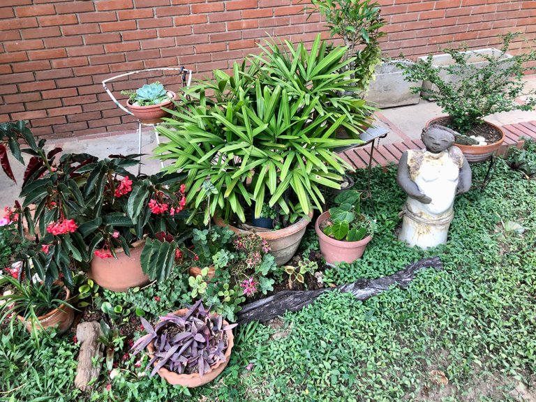 JardinSRoman2.jpg