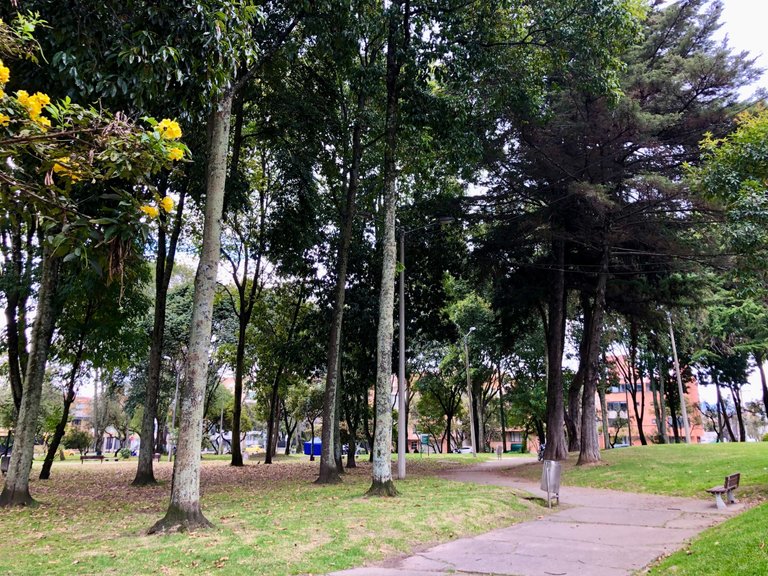 Parque106Bogota_11.jpg