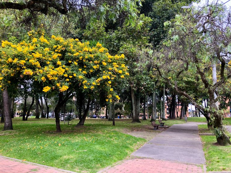 Parque106Bogota_10.jpg