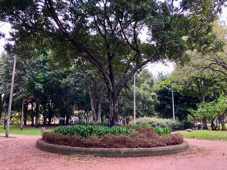 Parque106Bogota_3.jpg