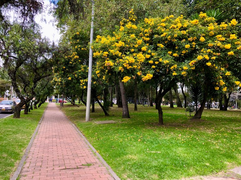 Parque106Bogota_13.jpg