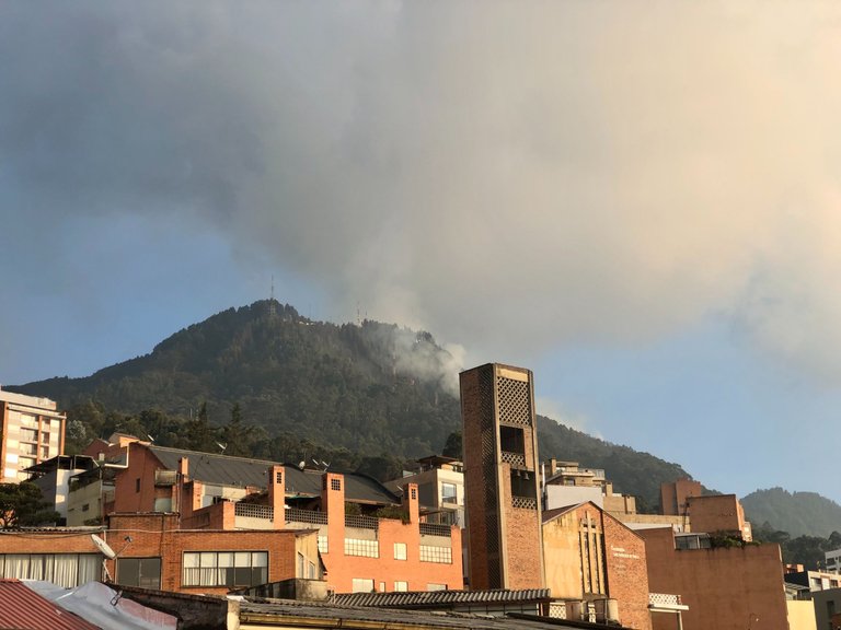 Smoky_Bogota_4.jpg