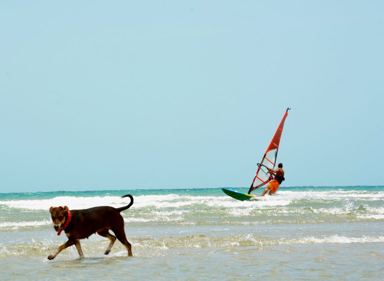 JeriWindsurf.jpg