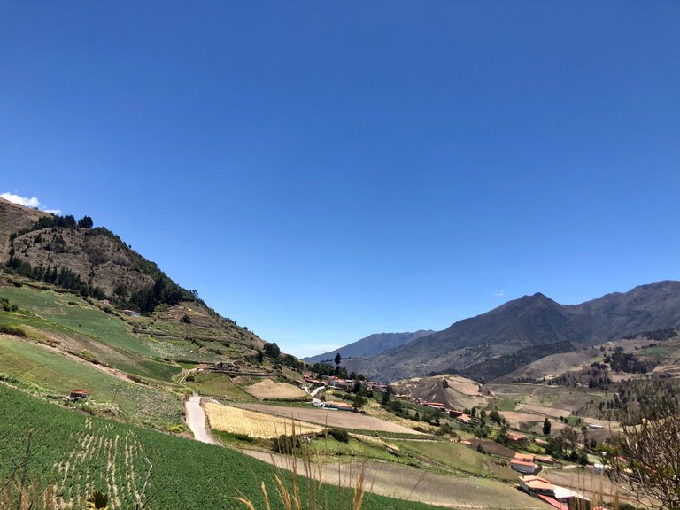 CaminoGavidia1_Apr25.jpg