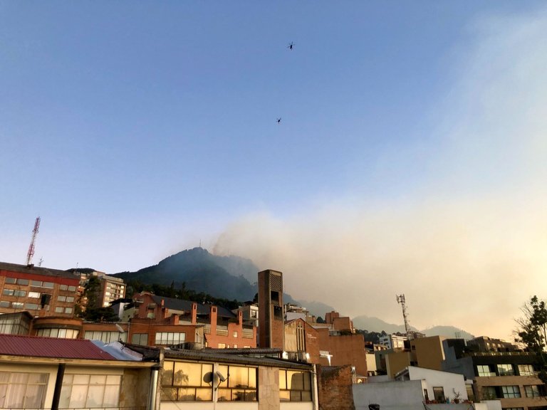 Smoky_Bogota_2.jpg