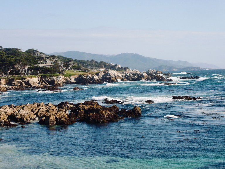 17MileDrive_CA_3.jpg